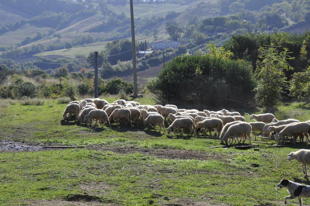 La Colombera In Toscana Roccalbegna Exterior foto